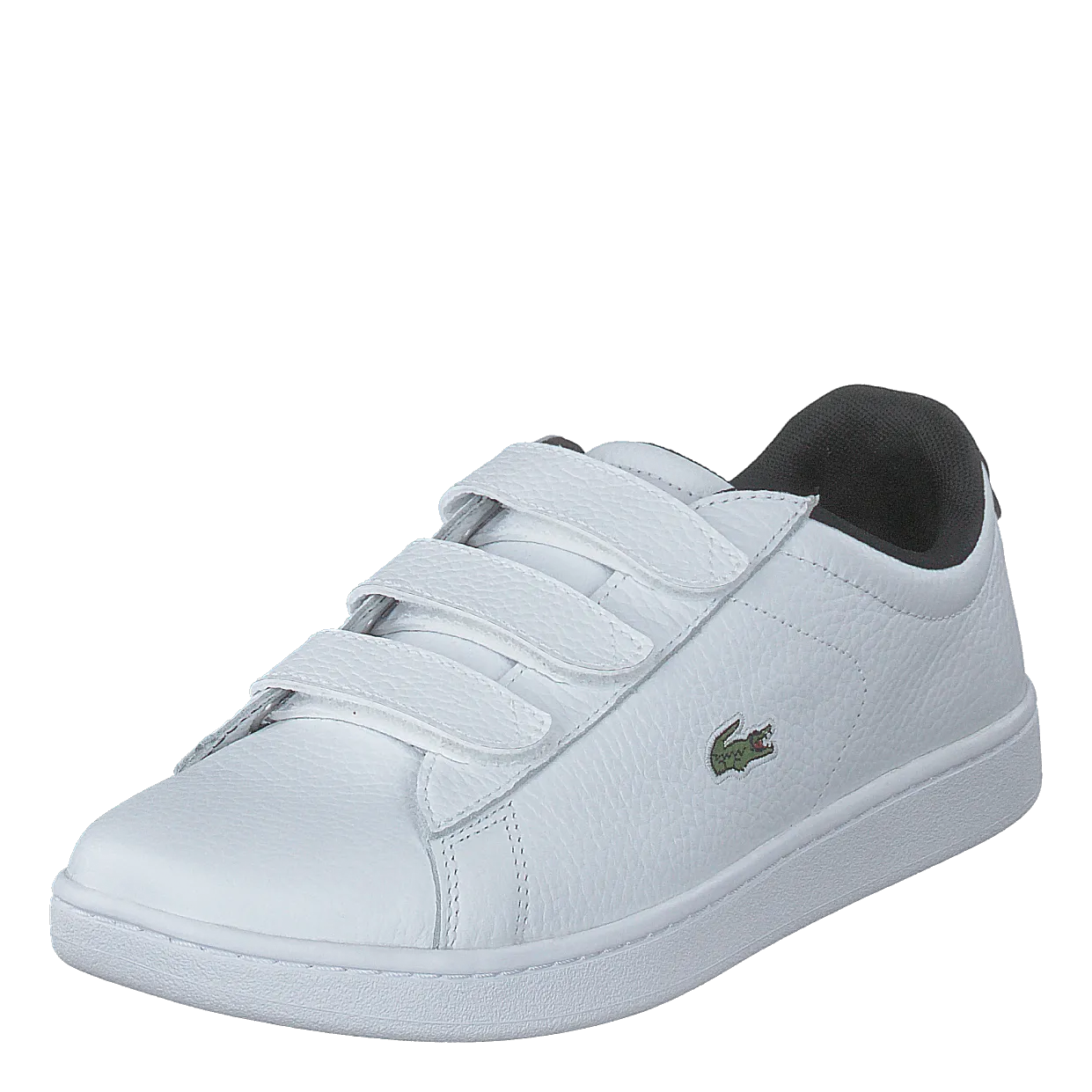 Carnaby Evo Strap 1201sfa Wht/blk