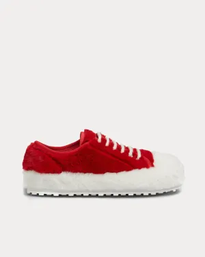 Teddy Tennis Red / White Low Top Sneakers