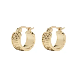 Ziggy Hoops